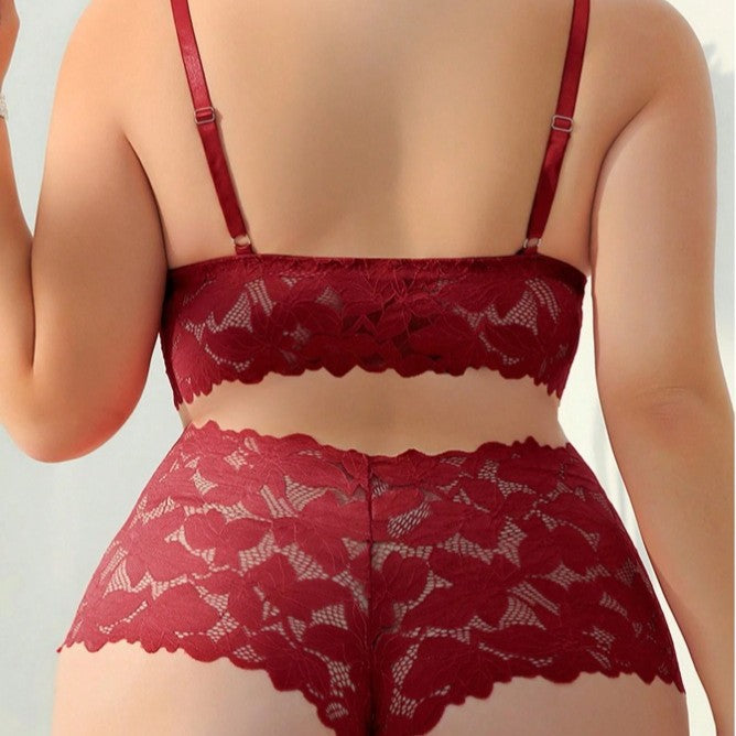 Lace Figure-Hugging Bra Set